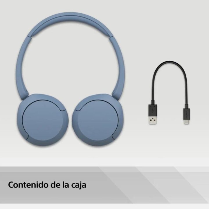 Sony Blue headphones