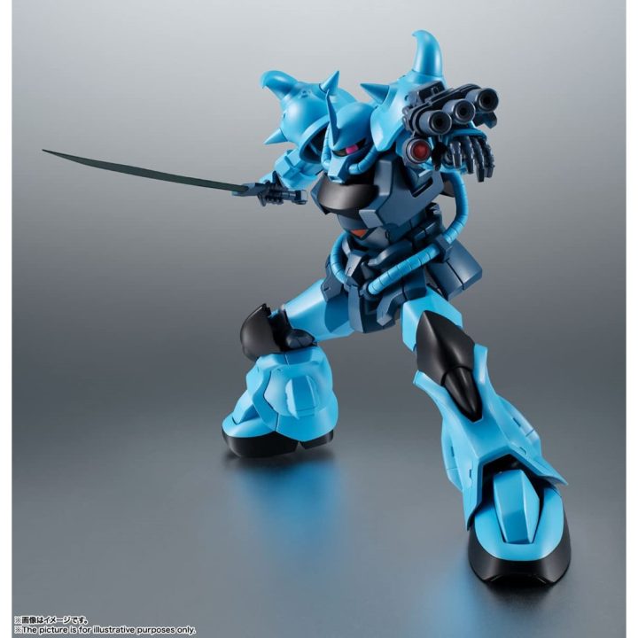Figura Tamashii Nations Gundam Robot Spirits A.N.I.M.E. Gouf Custom…