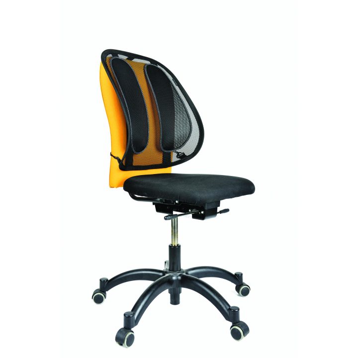 Fellowes 9191301 Mesh Office Lumbar Support