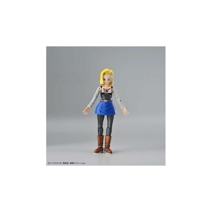 Bandai Figure-rise standard Android 18 pkg renewal re-run (0MK58200)