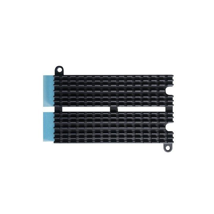 Dissipadores ASUSTOR as-T10G3 para SSD m.2 (AS-HK1)