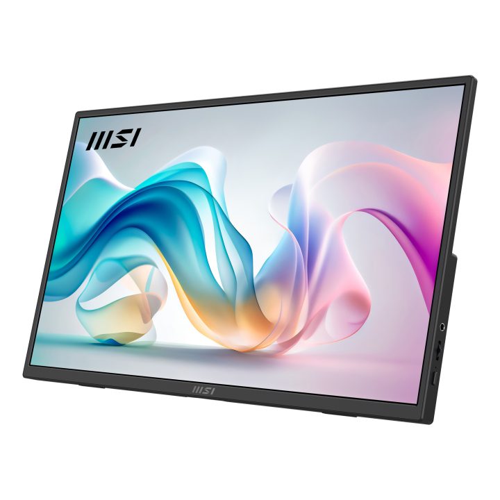 MSI Pro MP165 E6 15.6" Full HD IPS