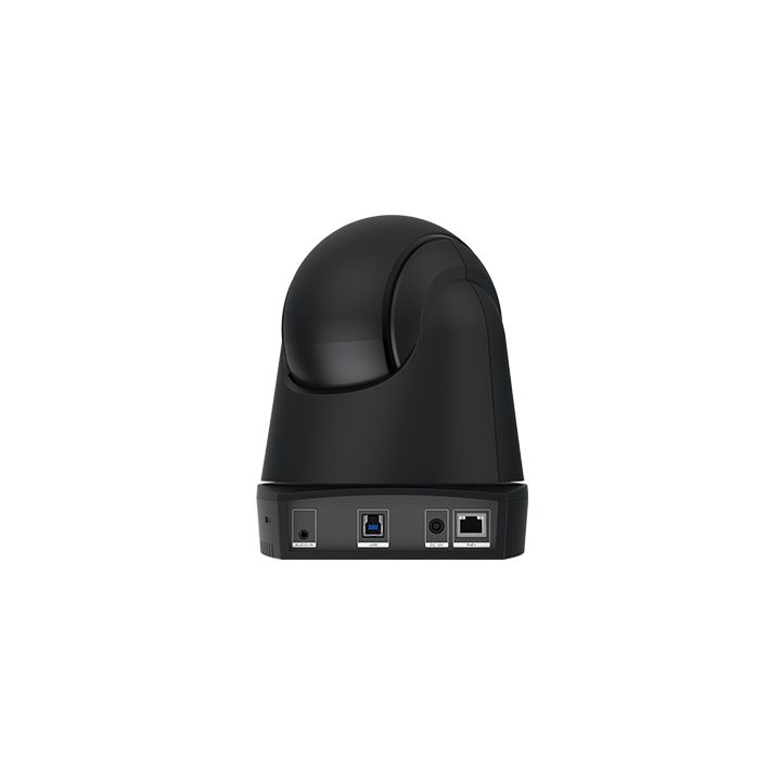 AVer DL30 webcam 2 MP 1920 x 1080 Pixéis USB Preto