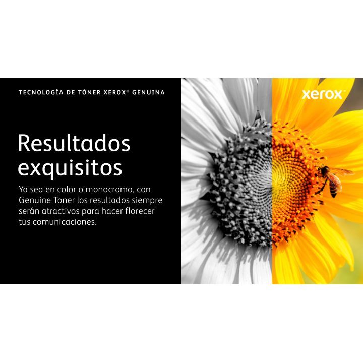 Xerox C410 / VersaLink C415 high-capacity yellow toner cartridge…