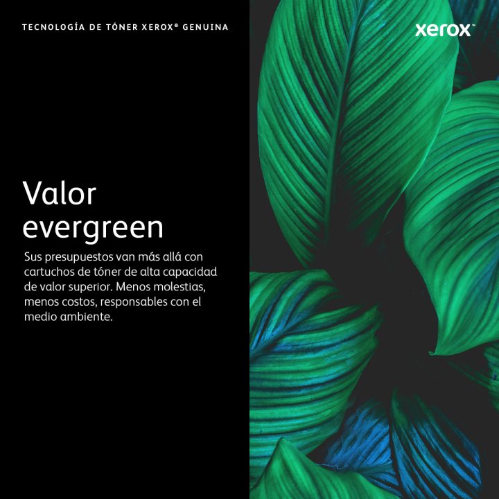 Xerox B210/B205/B215 High Capacity Black Toner Cartridge (3000 pages)