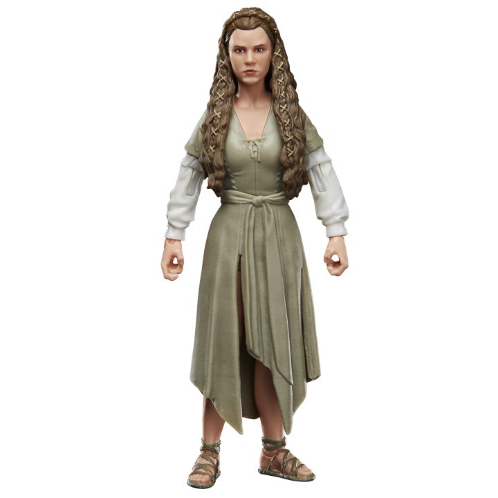 Star Wars The Black Series F43525X0 figura de ação