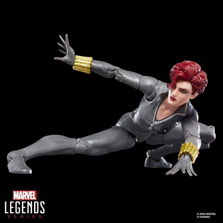 Marvel Legends Series Black Widow