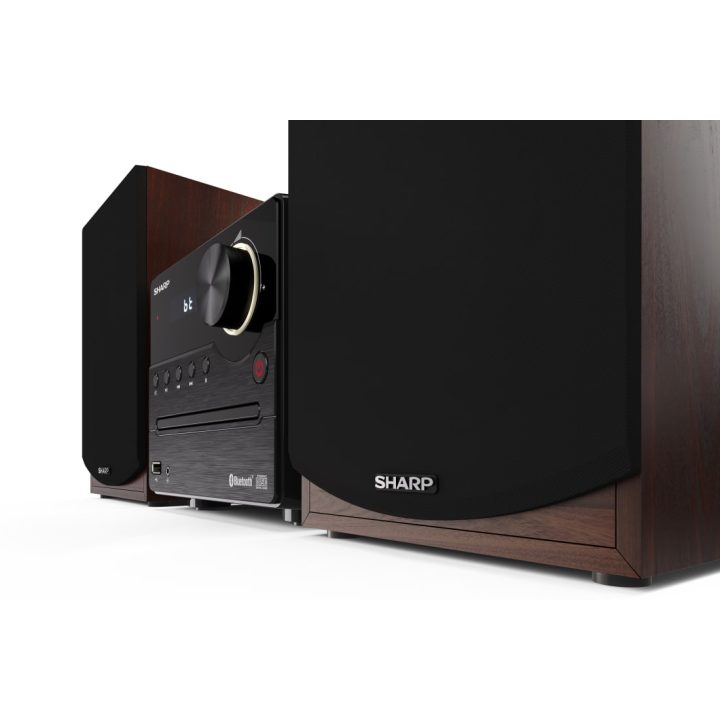 Sharp XL-B512(BR) sistema de audio para el hogar Microcadena de…