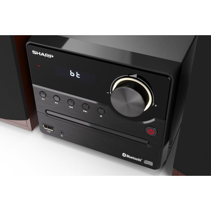 Sharp XL-B512(BR) sistema de audio para el hogar Microcadena de…