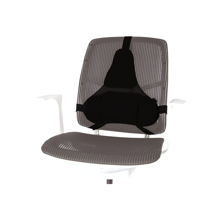 Fellowes Professional Series Preto