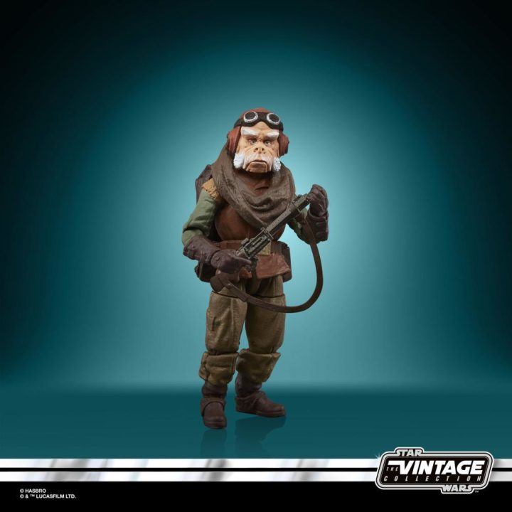 Hasbro F44665X0 figura de ação