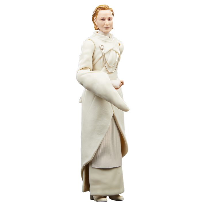 Star Wars The Black Series F55305X0 figura de ação