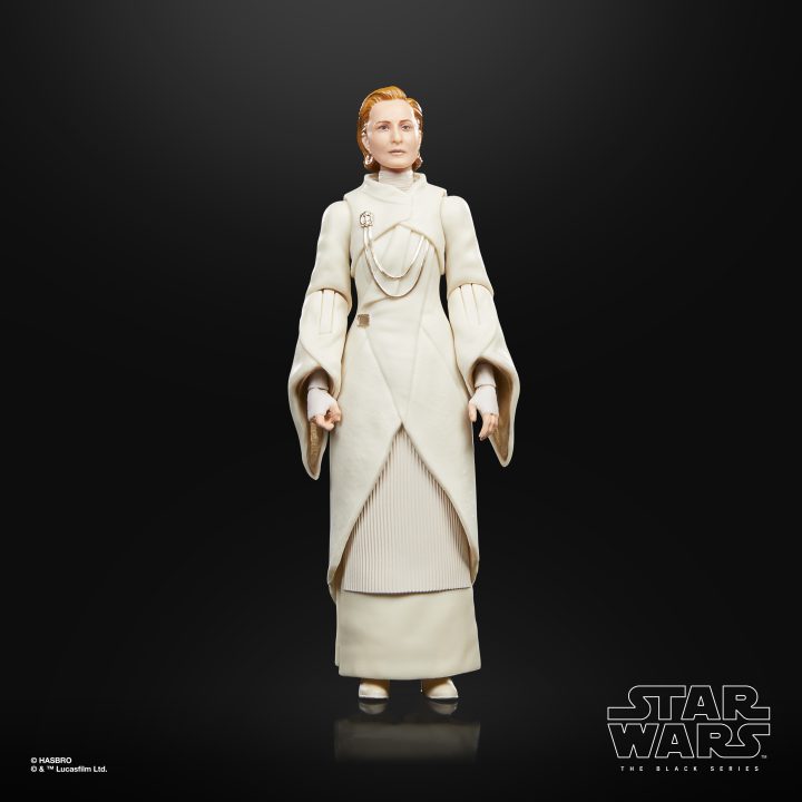 Star Wars The Black Series F55305X0 toy figure