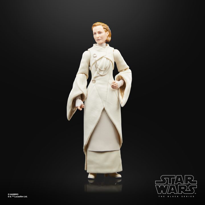 Star Wars The Black Series F55305X0 toy figure