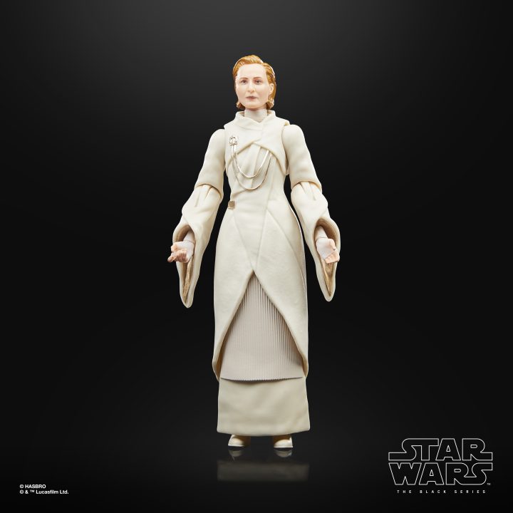 Star Wars The Black Series F55305X0 toy figure