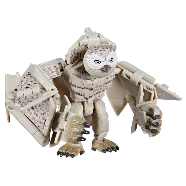 Dungeons & Dragons Owlbear