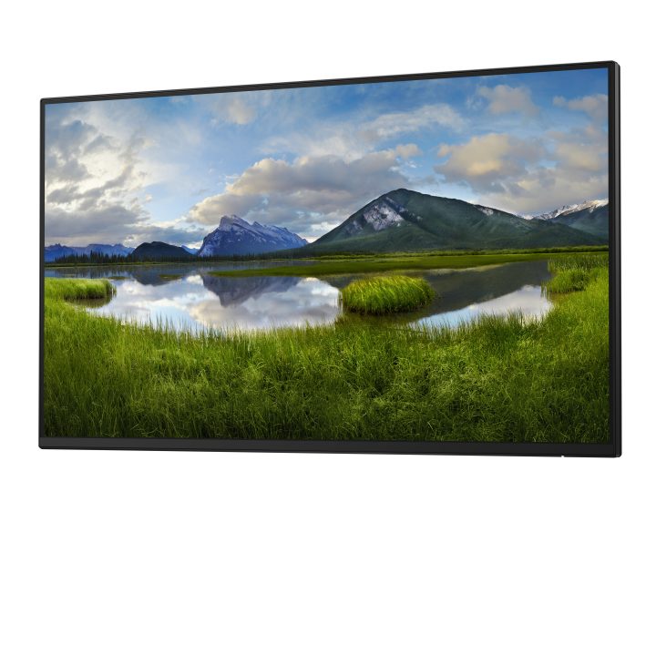 Dell Pro Plus P2425H_WOST 24" Full HD 100 Hz IPS