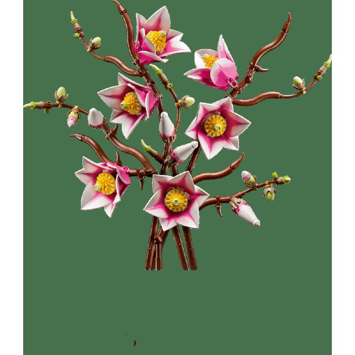LEGO Botanicals Magnolia Branches (6588551)