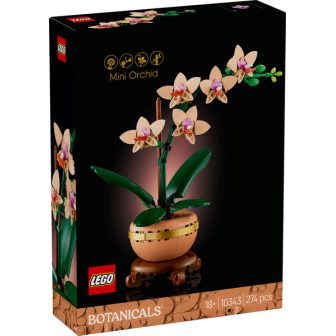 LEGO Orchid (10343)