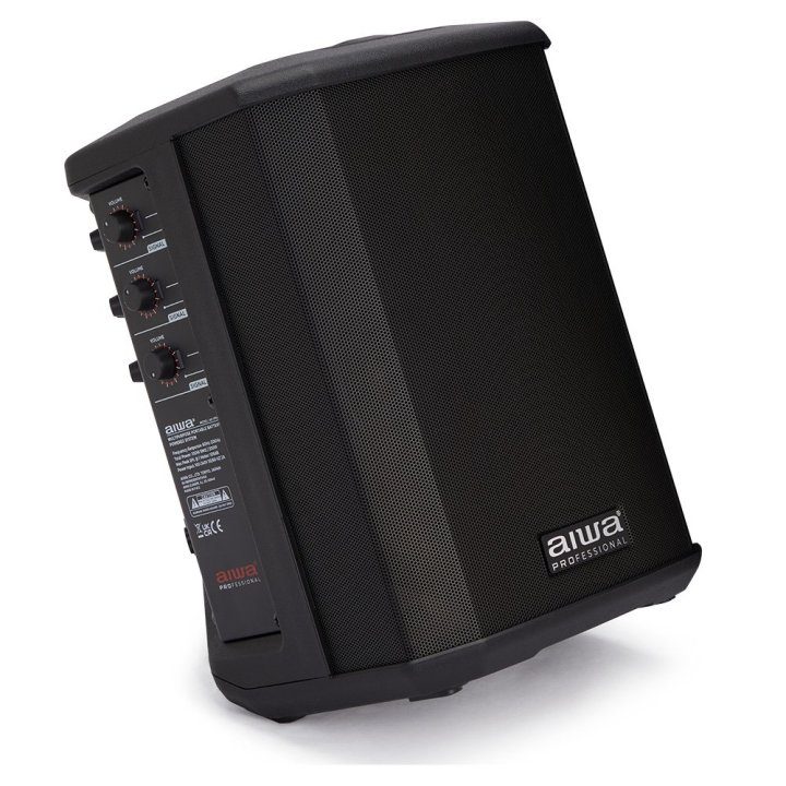 Altavoz Aiwa ax-1PRO negro