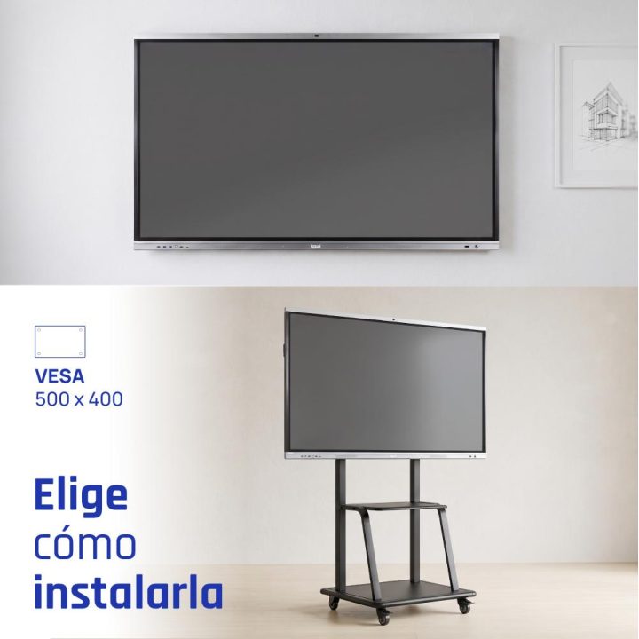 iggual 4K Interactive Display ORCHID 65"