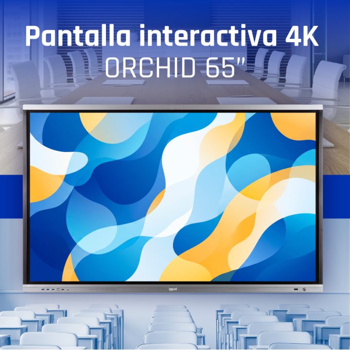 iggual Pantalla interactiva 4K ORCHID 65"