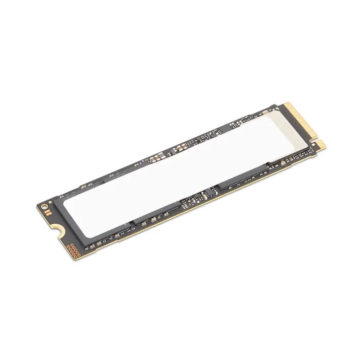 Lenovo 4XB1S30112 1 TB M.2 NVMe PCIe 5.0