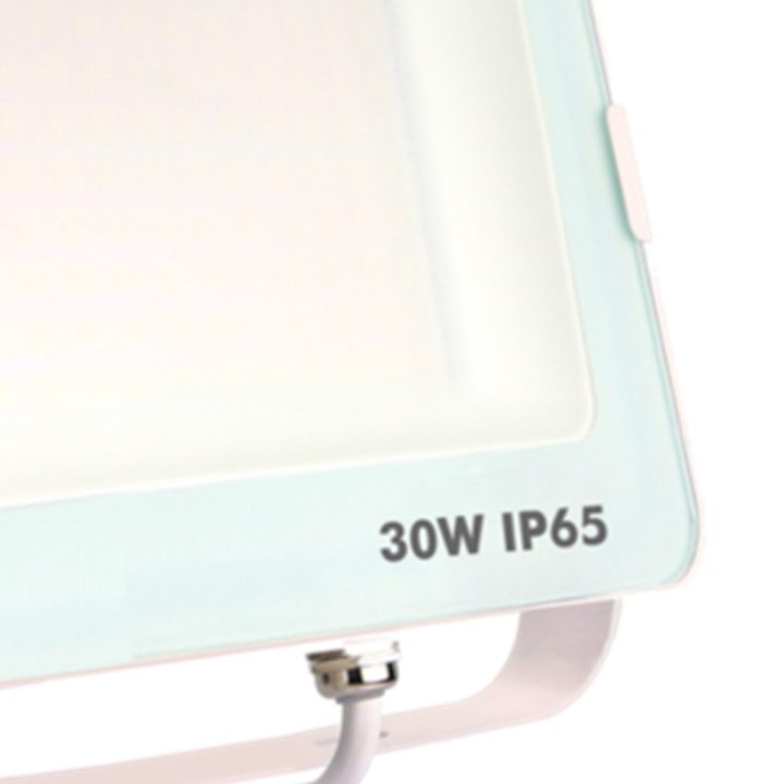 Silver Foco proyector IP65 30W 5700K 2.400lm blanco (173030)