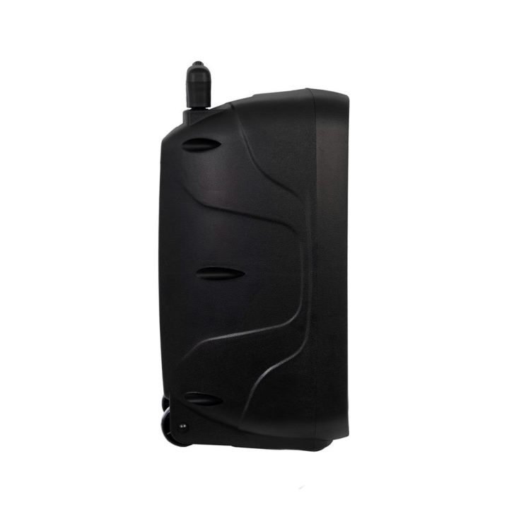 Fonestar System Portable Speaker with Microphone Fonestar…
