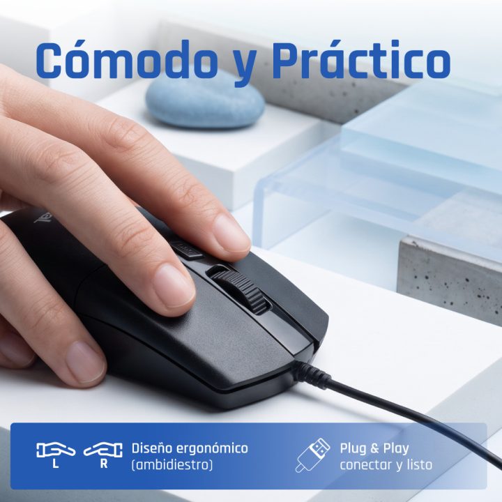 iggual Ratón óptico COM-BUSINESS2-2400DPI negro