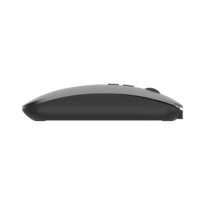 Ewent EW3207 Universal Ambidextrous RF Wireless + Bluetooth Optical…