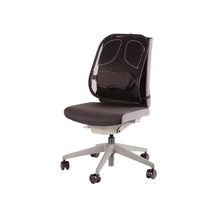 Fellowes 8029901 Lumbar Support for Backrests Graphite