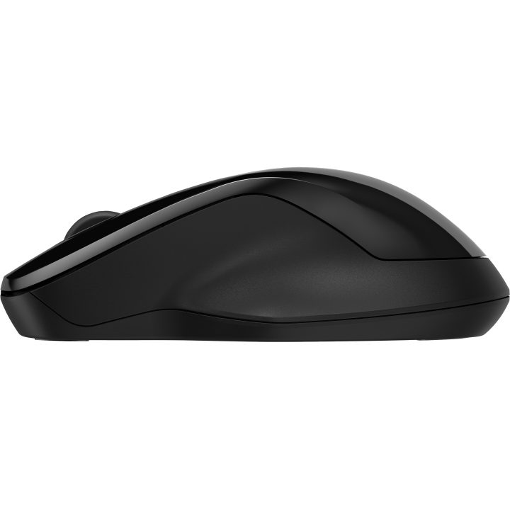HP Dual Mouse 250