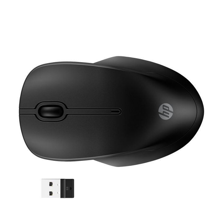 HP 255 Dual Wireless Mouse