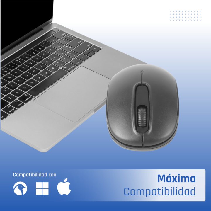 iggual WOM-STANDARD-3D 1000DPI Office Ambidextrous RF Wireless…