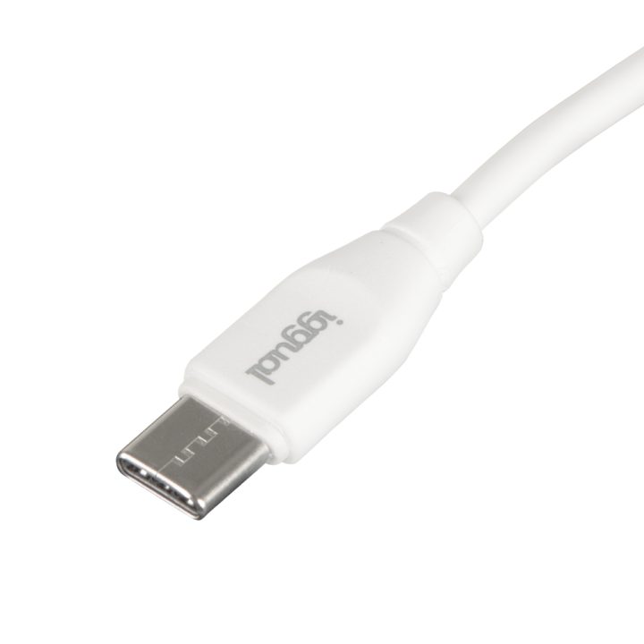 iggual Cabo USB-C/USB-C 100 cm branco Q3.0 3A 60W