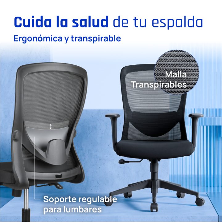 iggual EN1335 Assento acolchoado Encosto de malha