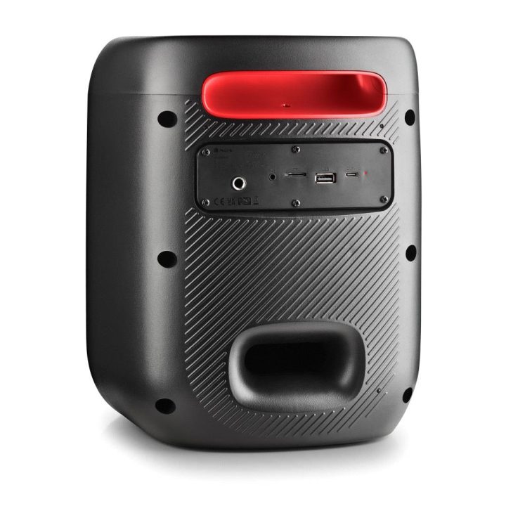NGS WILD SWAG GO Coluna para festas Preto 40 W
