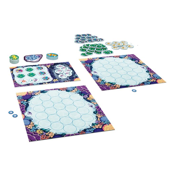 Asmodee Board Game The Octopus Garden PEGI 8 (MAPOG01)