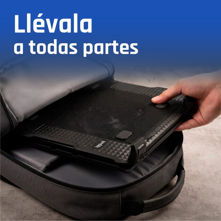 iggual Refrigerador portátil 2 ventiladors RP2V17A