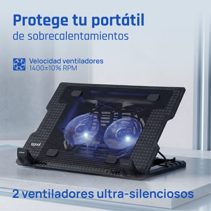 iggual Refrigerador portátil 2 ventiladors RP2V17A