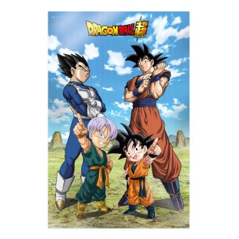 Sd toys Poster 3d 58X38CM battle of gods goku vegeta family dragon…