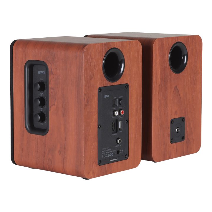 iggual 2.0 Speakers 50W Bluetooth 5.3 Home Studio