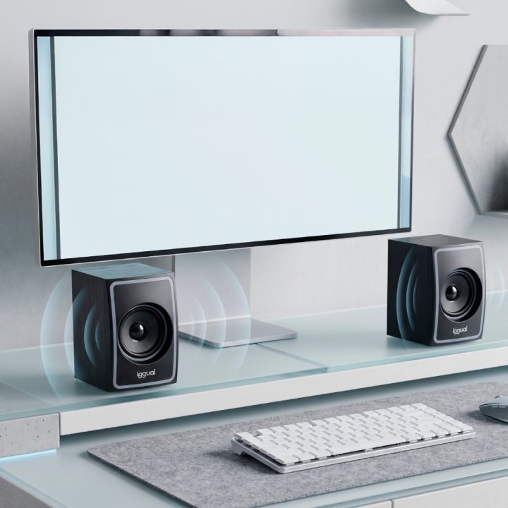 iggual 2.0 Speakers 10W Mini-Jack + USB Bluetooth