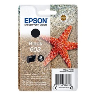 Epson Singlepack Black 603 Ink