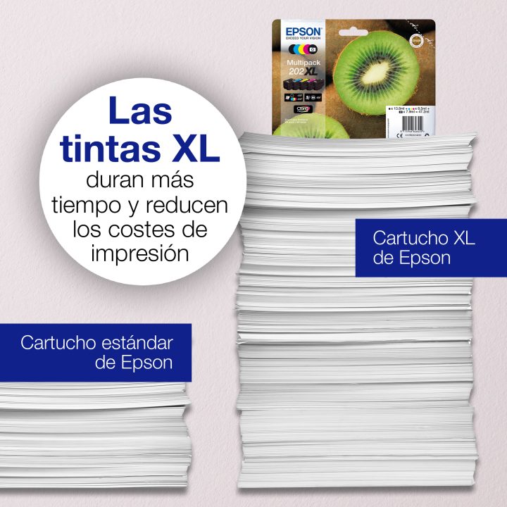 Epson Kiwi Singlepack Black 202XL Claria Premium Ink