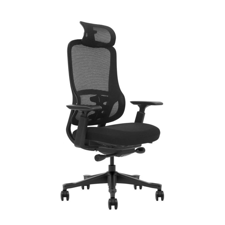 Phoenix Technologies Lira Office Chair with Lumbar Support, Tilting…