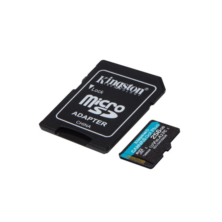 Kingston Technology Canvas Go Plus Gen4 256 GB microSDXC Card, 200…