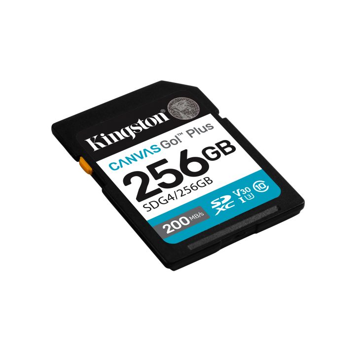 Kingston Technology Canvas Go! Plus 256GB SDXC Canvas Go Plus Gen4…