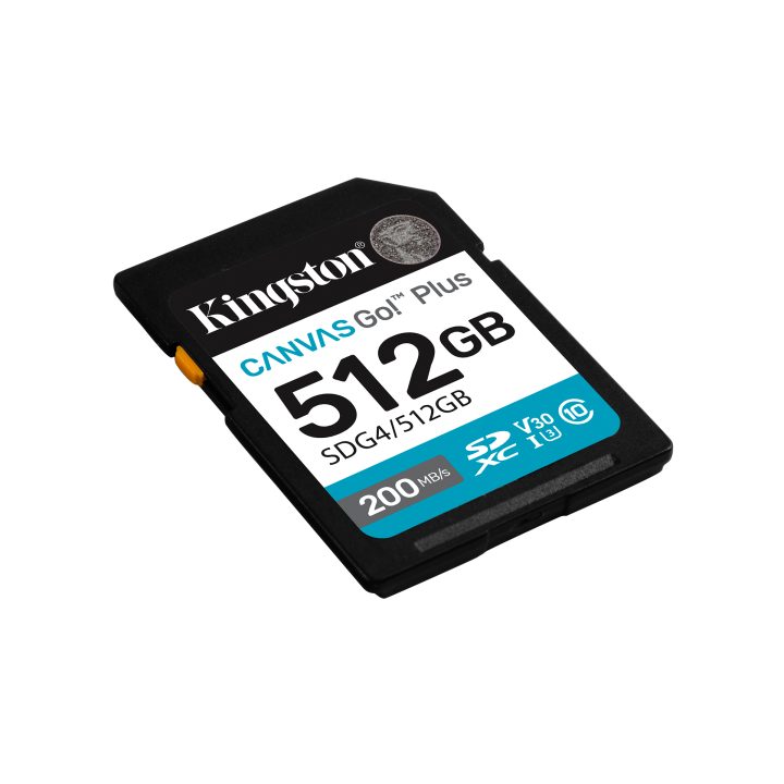 Kingston Technology Canvas Go! Plus 256GB SDXC Canvas Go Plus Gen4…